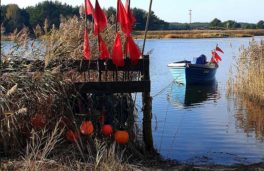 Prerow Flaschenpost0320 1