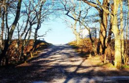 prerow-flaschenpost0320-4