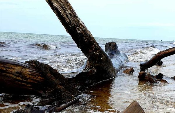 prerow-flaschenpost0320-5