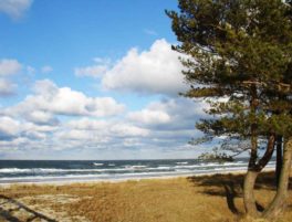 ferienservice-prerow-ansichten-newsletter-5