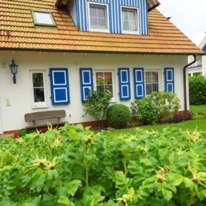 Prerow Ferienwohnung Wiesenblick - Ferienservice Prerow, Grüne Straße 50 18375 Ostseebad Prerow