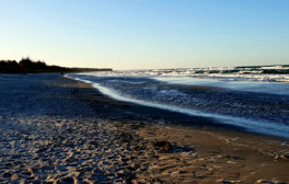 Newsletter 12 2020 Prerow Meer 2