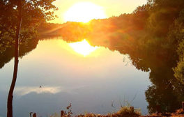 Newsletter 12 2020 Prerow Natur 1