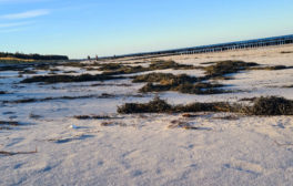 Ferienservice Prerow Newsletter 09 2021 Strand