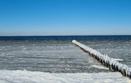 prerow-newsletter-12-2021-winter-2