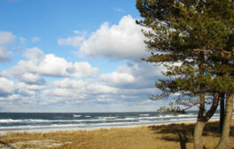 Newsletter Prerow 01 2022 Meeresblick