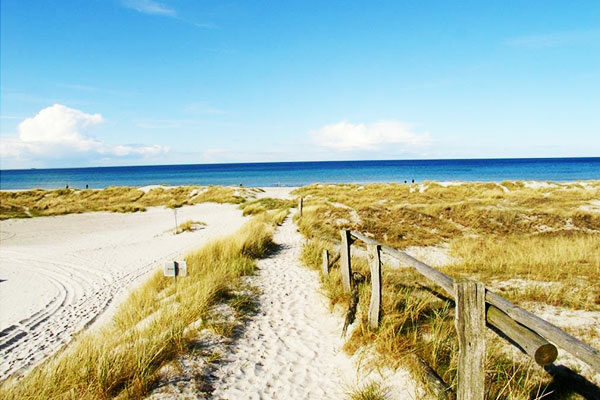 Newsletter Prerow 01 2022 Nordstrand