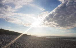 Newsletter Prerow 01 2022 Strand