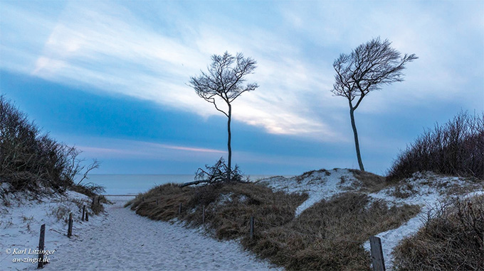Newsletter Neujahr 2023 4