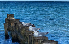 newsletter-bild-1
