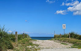newsletter-bild-3
