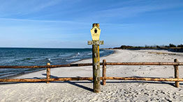 oster-newsletter-ferienservice-prerow-1