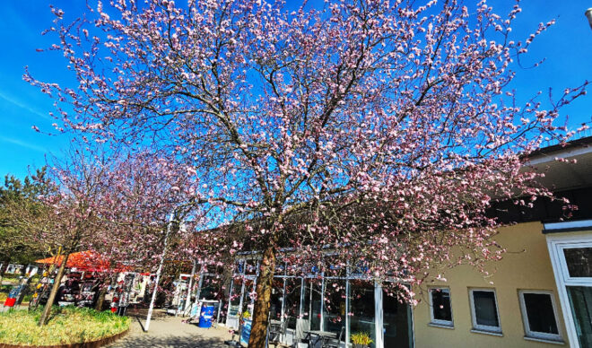 ostern-ferienservice-prerow-2025